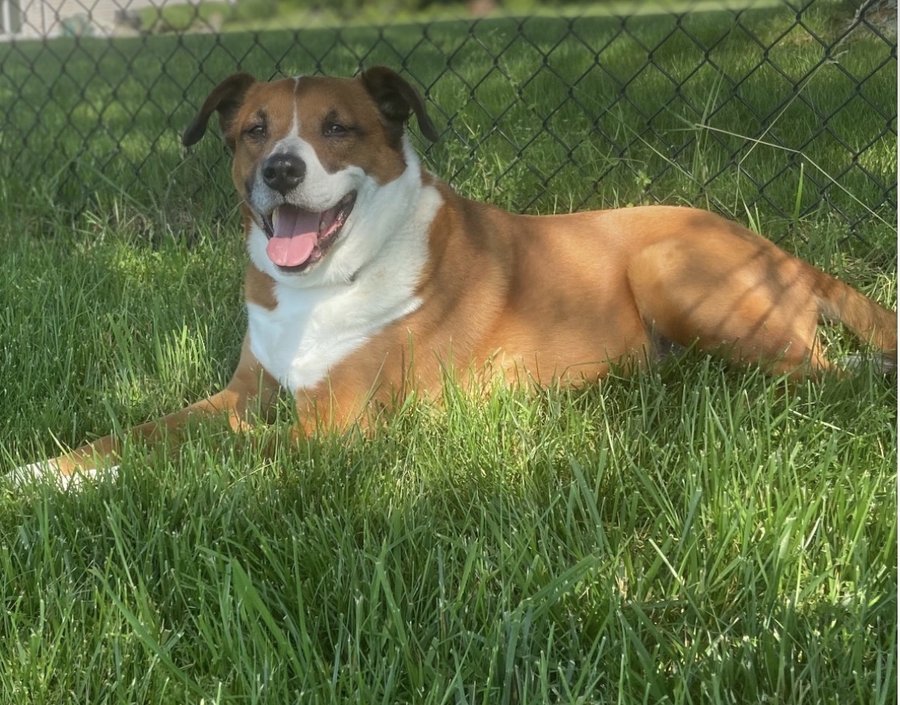 Benny